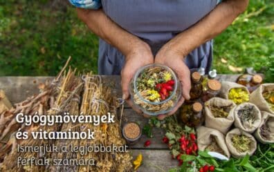 Gyógynövények és vitaminok férfiaknak